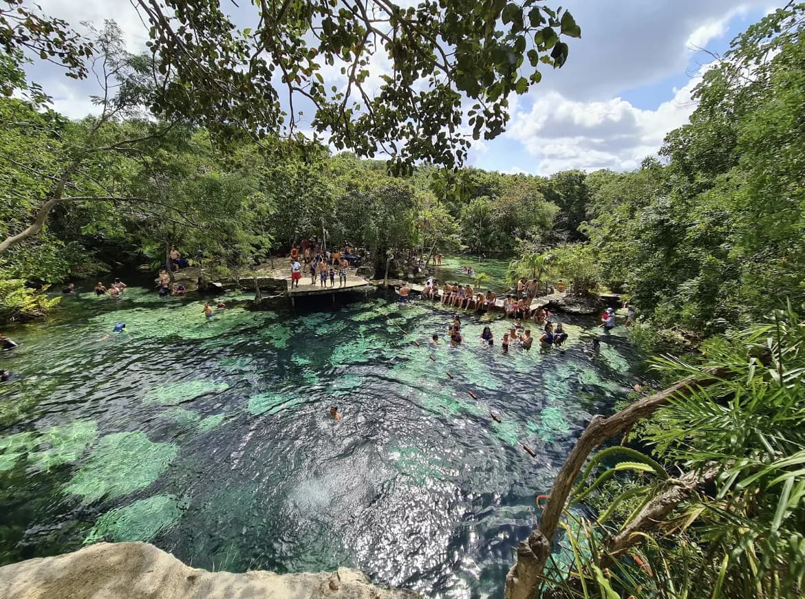 Swimmers in a cenote in the Yucatan jungle